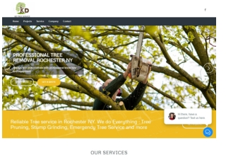 tree cutting service