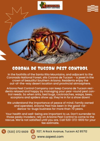 Rodent control Tucson pest and termite control in tucson