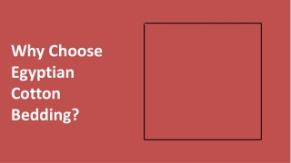 Why Choose Egyptian Cotton Bedding?