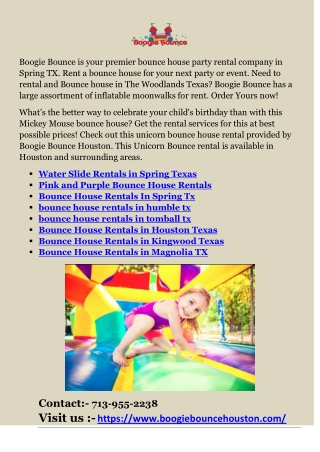 Bounce House Rentals in Houston Texas