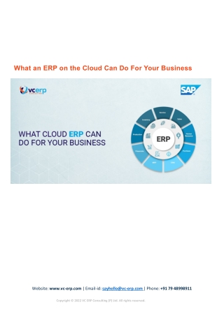 What an ERP on the Cloud Can Do For Your Business