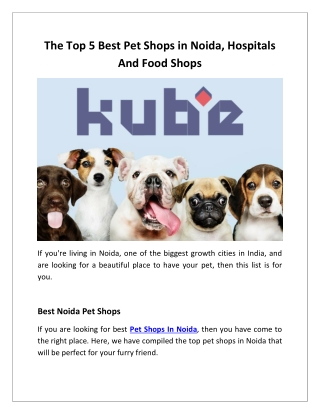The Top 5 Best Pet Shops in Noida, Hospitals And Food Shops