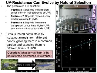 UV-Resistance Can Evolve by Natural Selection