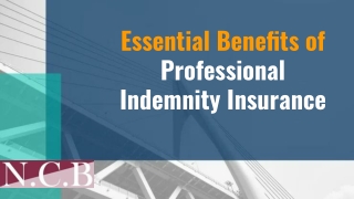 Essential Benefits of Professional Indemnity Insurance