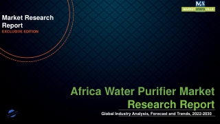 Africa Water Purifier Market Analysis, Top Key Players, and Industry Statistics,