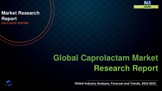 Caprolactam Market Expected to Expand at a Steady 2022-2030
