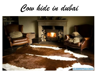 Cow Hides in Dubai