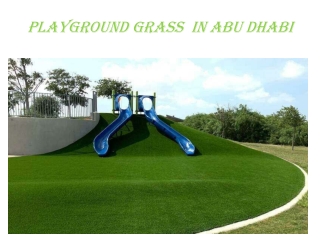 Playground Grass in Abu Dubai
