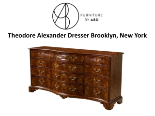 Theodore Alexander Dresser Brooklyn, New York