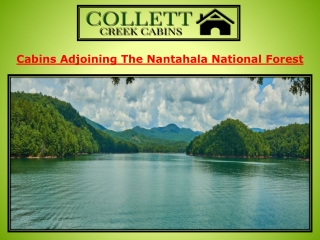 Cabins Adjoining The Nantahala National Forest