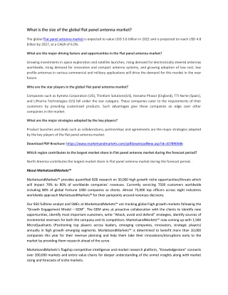 Flat Panel Antenna Market