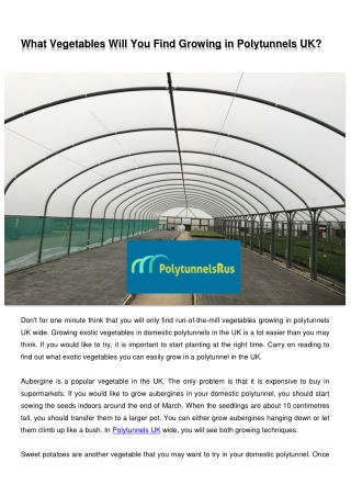 What Vegetables Will You Find Growing in Polytunnels UK?