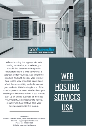 Web Hosting Services USA