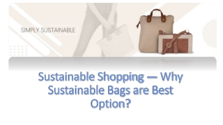 Sustainable Shopping — Why Sustainable Bags are Best