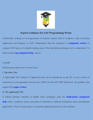 Experts Guidance For SAP Programming Works