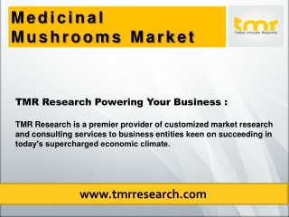 Medicinal Mushrooms : Boost The Functioning Of The Human Nervous System