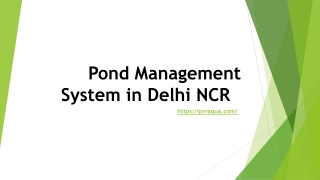 Pond Management System in Delhi NCR