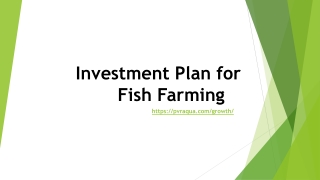 Investment Plan for Fish Farming