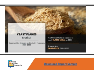 Yeast Flakes Market