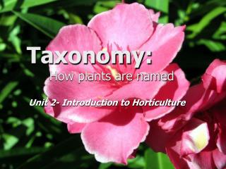 Taxonomy: How plants are named