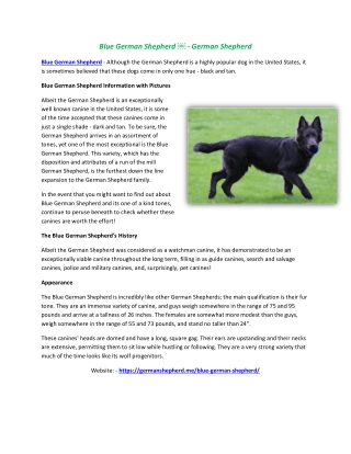 Blue German Shepherd ￼ - German Shepherd