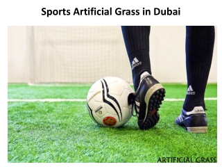 Sports Artificial Grass in Dubai