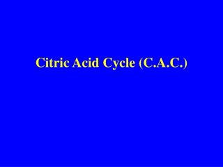 Citric Acid Cycle (C.A.C.)
