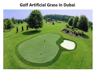 Golf Artificial Grass in Dubai