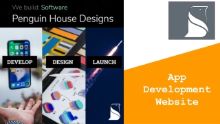 App Development Website