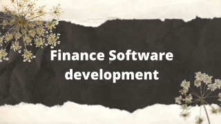 Finance software development