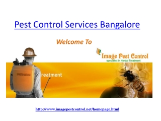 Pest Control Services Bangalore