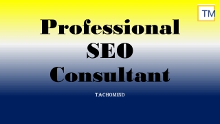 Professional SEO Consultant