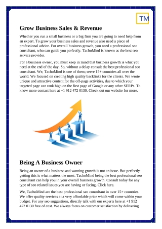 professional seo consultant