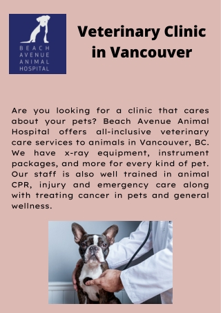Full service veterinary clinic in Vancouver