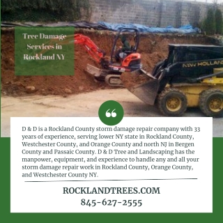 Tree Damage Services in Rockland NY