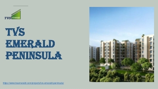 TVS peninsula