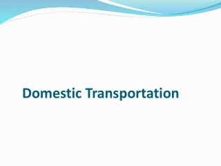 Domestic Transportation