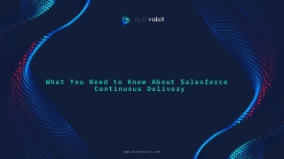 What You Need to Know About Salesforce Continuous Delivery