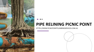 Pipe Relining Picnic Point