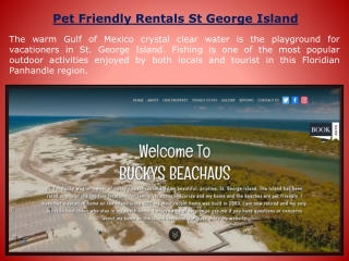 Pet Friendly Rentals St George Island