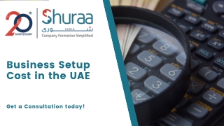 Business Setup Cost in the UAE