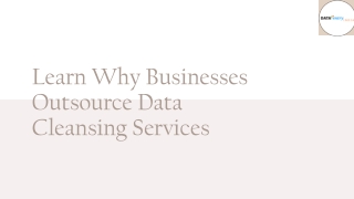 Learn Why Businesses Outsource Data Cleansing Services