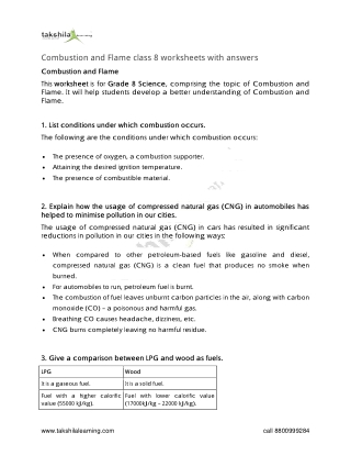 Combustion and Flame class 8 worksheets