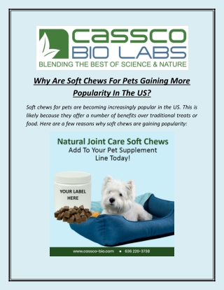 Why Are Soft Chews For Pets Gaining More Popularity In The US?