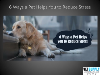 6 Ways a Pet Helps You to Reduce Stress