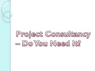 What is project management consultancy?