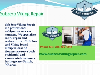 Professional Refrigerators  Repair Service In Bellevue