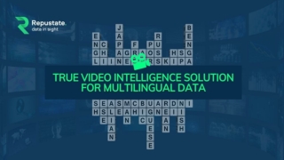 True Video Intelligence Solution for Multilingual Data