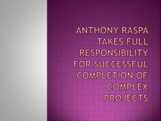 Anthony Raspa takes full responsibility for successful completion of complex projects