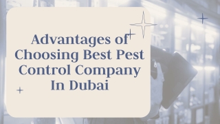 Advantages of Choosing Best Pest Control Company In Dubai